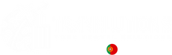 Travelutions